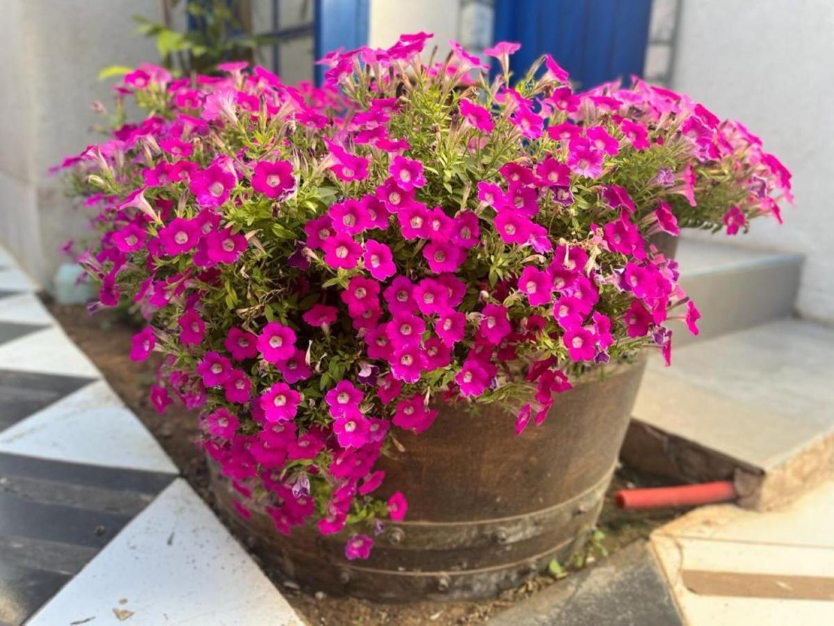 Bed and Breakfast Ahuzat Shaul Seaside Hadera Exterior foto